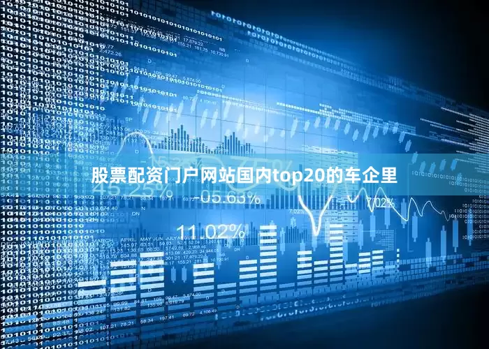 股票配资门户网站国内top20的车企里